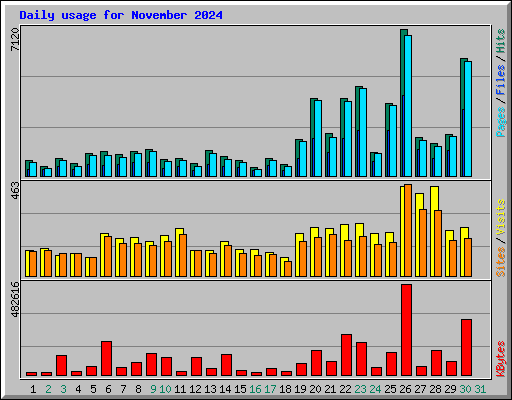 Daily usage for November 2024