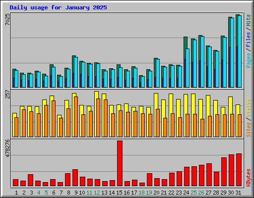Daily usage for January 2025