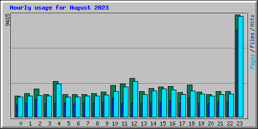 Hourly usage for August 2023