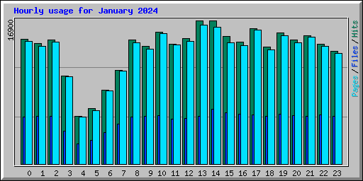 Hourly usage for January 2024