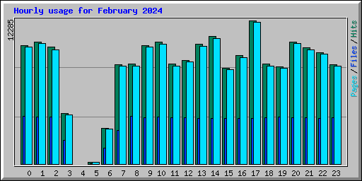 Hourly usage for February 2024