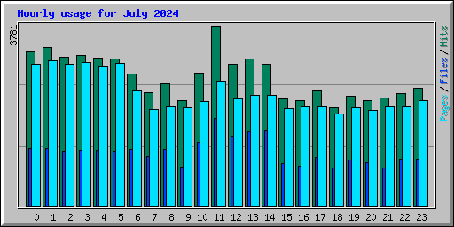 Hourly usage for July 2024