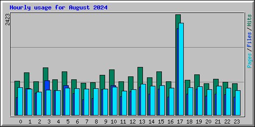 Hourly usage for August 2024
