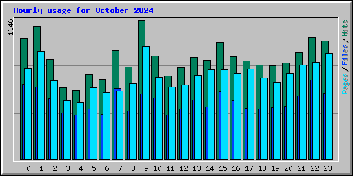 Hourly usage for October 2024