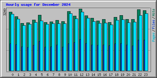 Hourly usage for December 2024