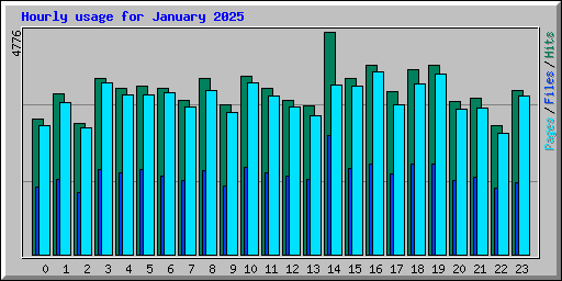 Hourly usage for January 2025