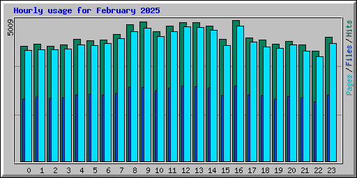 Hourly usage for February 2025