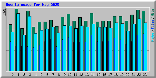 Hourly usage for May 2025