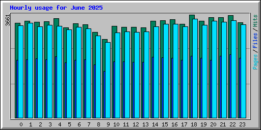 Hourly usage for June 2025