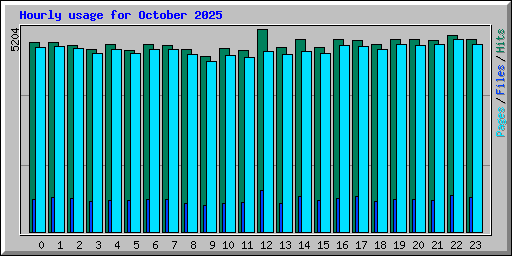 Hourly usage for October 2025