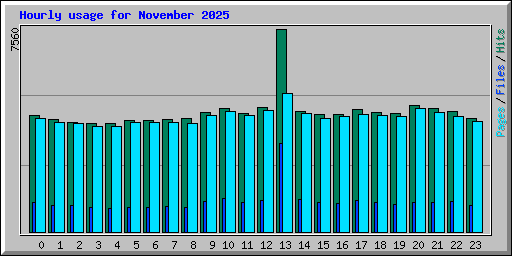 Hourly usage for November 2025