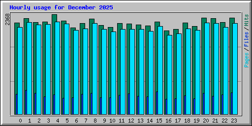 Hourly usage for December 2025