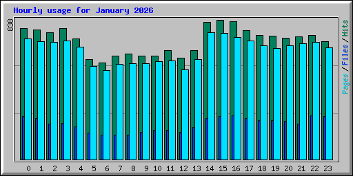 Hourly usage for January 2026