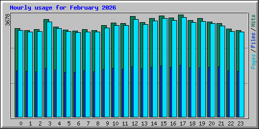 Hourly usage for February 2026