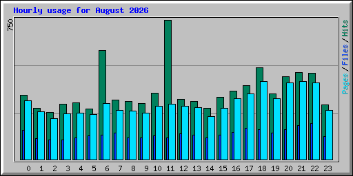 Hourly usage for August 2026